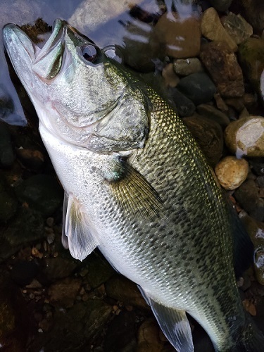 20191007_171054.jpg