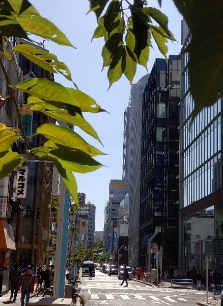 20191110_112711_1.jpg