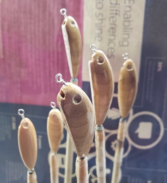 20201221_154510.jpg