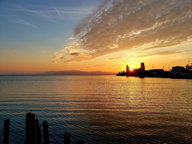 20220926_191758.jpg