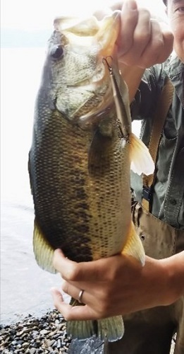 44㎝.jpg