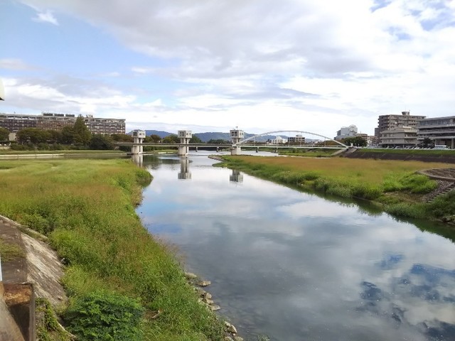 IMG_20180927_095746.jpg