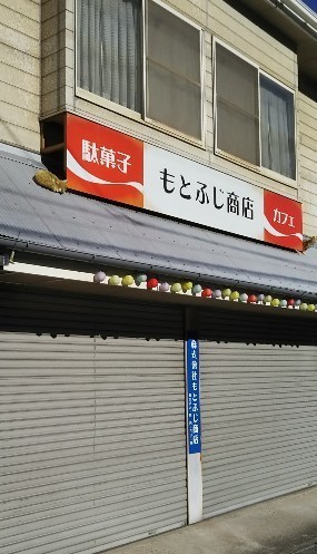 IMG_20181124_100324.jpg