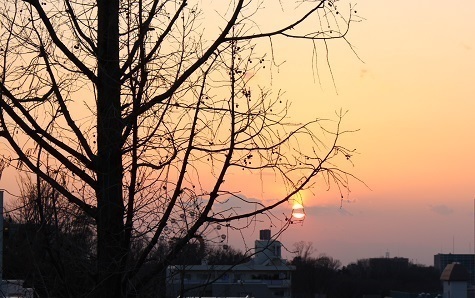 IMG_7400.JPG