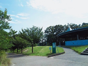 Photo_2